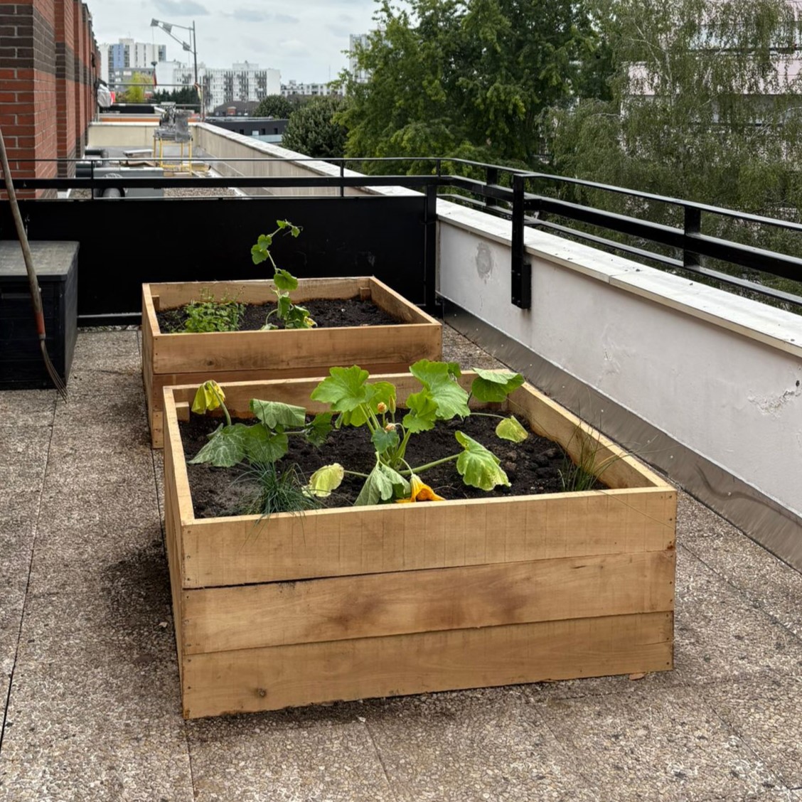 Carrés potagers sur une terrasse, rooftop à Lille