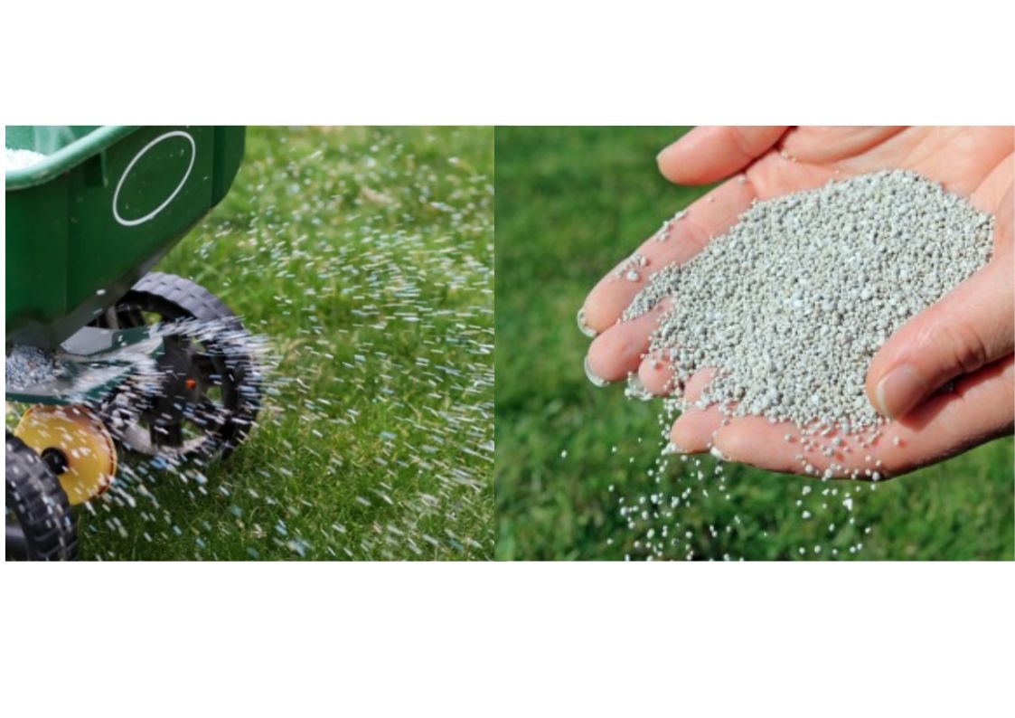 Sulfate de fer anti-mousse : mode d’emploi, précautions et alternatives pour la pelouse