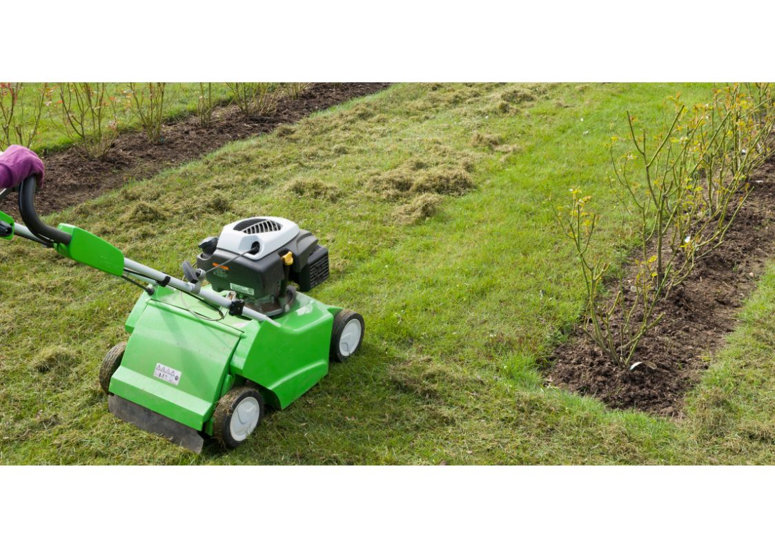 Scarificateur pour pelouse : mode d’emploi pour enlever la mousse du gazon de manière efficace
