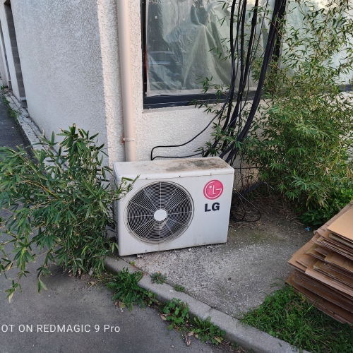 Invasion des rhizomes de bambou traçants à travers un mur sur une pompe à chaleur à Lille