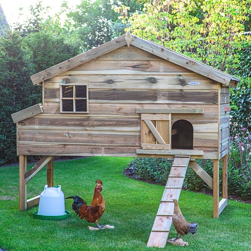 Le meilleur poulailler en bois de chez Voldux, vendu par Monpetitjardinier