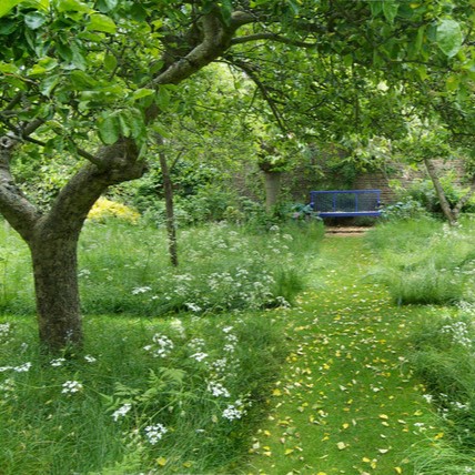 Jardin ornemental bordé par des prairies en fleurs