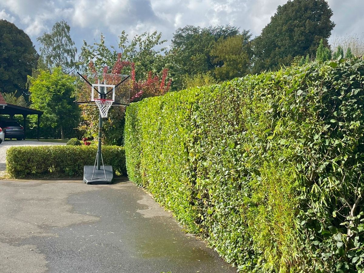 Réalisations d'une taille de haie par nos jardiniers à Chéreng.